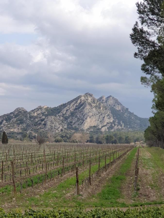 Apartmán Les Estrelles Saint-Rémy-de-Provence Exteriér fotografie